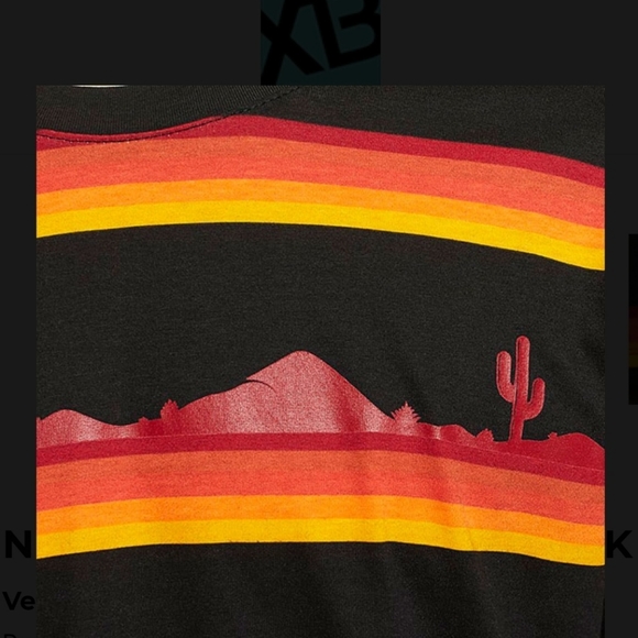 Nike SB Longsleeve Striped Tee - Picture 3 of 7